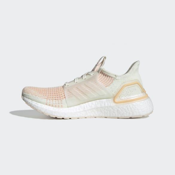 Жіночі кросівки Adidas Ultraboost 19 F34073