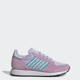 Женские кроссовки Adidas Forest Grove EH0322_image_1