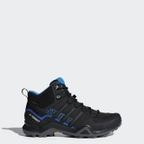 Мужские ботинки Adidas Terrex Swift R2 GTX AC7771_image_1