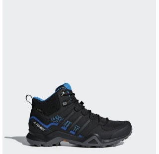 Мужские ботинки Adidas Terrex Swift R2 GTX AC7771