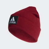 Шапка adidas Logo Woolie DZ8931_image_1