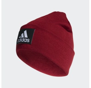 Шапка adidas Logo Woolie DZ8931