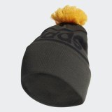 Шапка Adidas Logo Pom Woolie ED0240_image_1