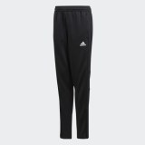 Брюки Adidas Condivo CF3685_image_1