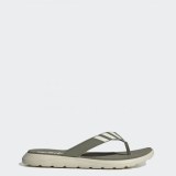 Мужские сланцы Adidas Comfort EG2067_image_1