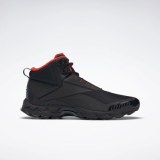 Чоловічі черевики Reebok Trail Chaser III FY4443_image_1