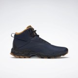 Мужские ботинки Reebok Trail Chaser III FY4444_image_1
