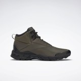 Мужские ботинки Reebok Trail Chaser III FY4445_image_1