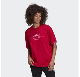 Футболка Adidas R.Y.V. Oversize GD2977