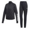 Спортивный костюм Adidas WTS New Co Mark DV2434