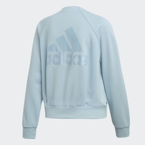 Куртка бомбер Adidas Id DP3905_image_6