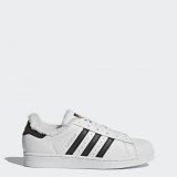 Кросівки Adidas SUPERSTAR W CP9630_image_1