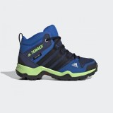 Детские ботинки Adidas Terrex EF2246_image_1