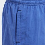 Детские шорты Adidas Solid K CV5203_image_5
