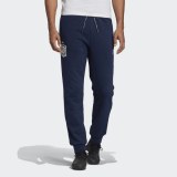 Мужские брюки Adidas Seasonal Special FI6307_image_1