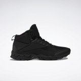 Чоловічі черевики Reebok Trail Chaser III Mid GZ6221_image_1