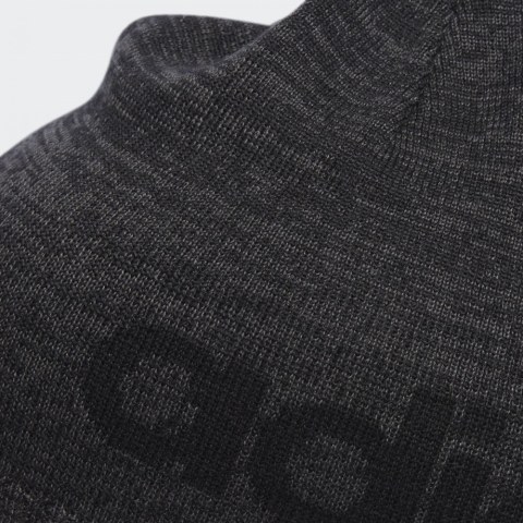Чоловіча шапка Adidas Daily Beanie Lt DN8445_image_5