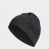 Чоловіча шапка Adidas Daily Beanie Lt DN8445_image_1