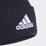 Чоловіча шапка Adidas Logo FT8842_image_5
