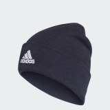 Чоловіча шапка Adidas Logo FT8842_image_1