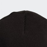 Шапка Adidas Wool Adventure GD4435_image_4