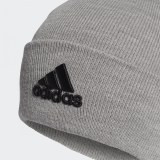 Мужская шапка Adidas Logo GE0596_image_1