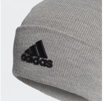 Мужская шапка Adidas Logo GE0596_image_5