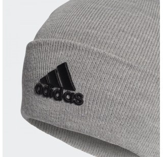 Чоловіча шапка Adidas Logo GE0596