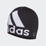 Шапка Adidas Aeroready Big Logo FS9029_image_1