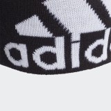 Шапка Adidas Aeroready Big Logo FS9029_image_2