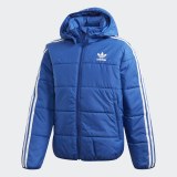 Детская куртка Adidas Originals GD2698_image_1