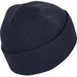 Шапка Adidas Adicolor GD4559_image_2