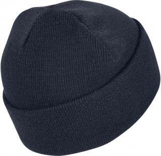 Шапка Adidas Adicolor GD4559