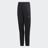 Дитячі штани Adidas Salah GM9026_image_1