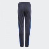 Дитячі штани Adidas SPRT Collection GN2416_image_2