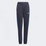 Дитячі штани Adidas SPRT Collection GN2416_image_1