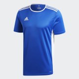 Футболка Adidas Entrada18 CF1037_image_3