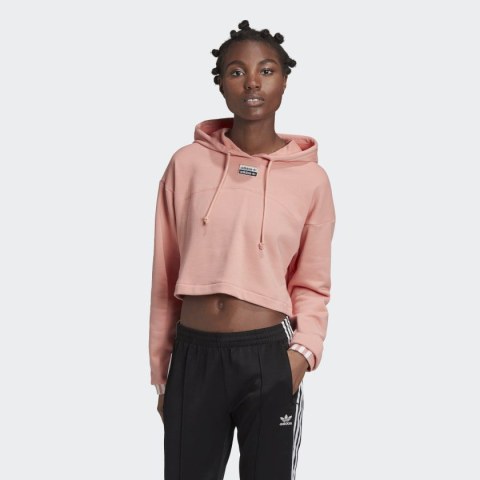 Жіноча худі Adidas R.Y.V. GD3088_image_1