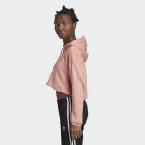 Жіноча худі Adidas R.Y.V. GD3088_image_3