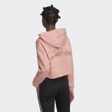 Жіноча худі Adidas R.Y.V. GD3088_image_2