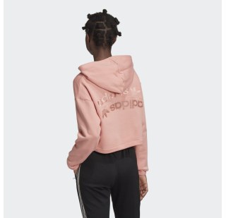 Жіноча худі Adidas R.Y.V. GD3088