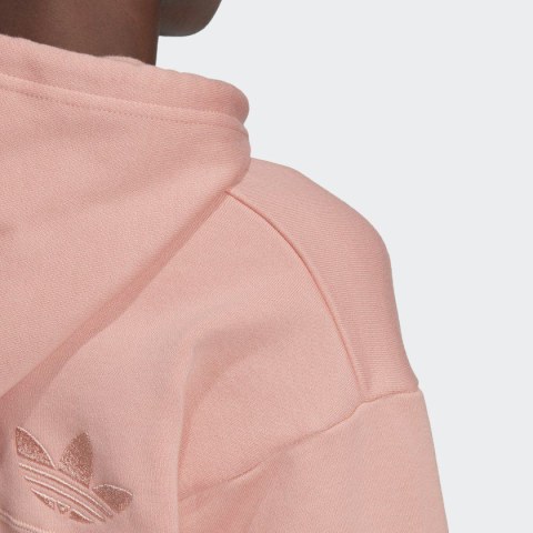Жіноча худі Adidas R.Y.V. GD3088_image_7