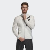 Мужская ветровка Adidas Terrex Agravic FJ9461_image_1