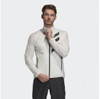 Мужская ветровка Adidas Terrex Agravic FJ9461_image_23