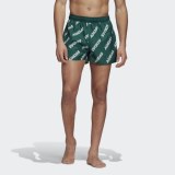 Пляжные шорты Adidas Printed CLX FJ3914_image_1