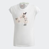 Футболка Adidas Cleofus GF0283_image_1