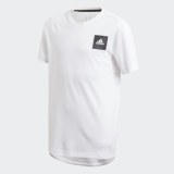 Футболка для фитнеса Adidas Aeroready GK2045_image_1
