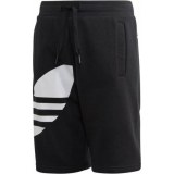 Шорты Adidas Originals Big Trefoil FM5655_image_1
