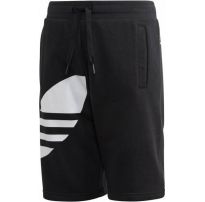Шорты Adidas Originals Big Trefoil FM5655_image_37