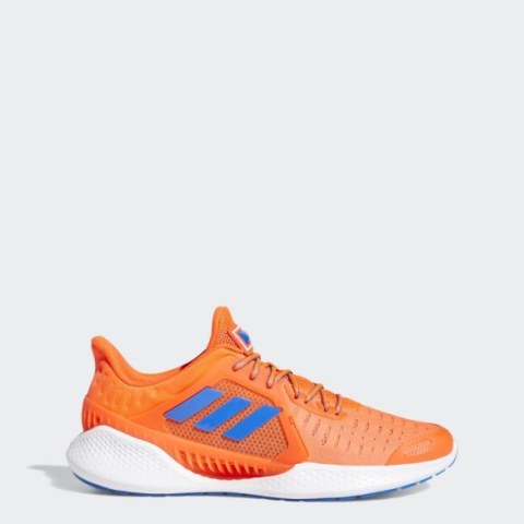 Чоловічі кросівки Adidas Climacool Vent EH0327_image_1